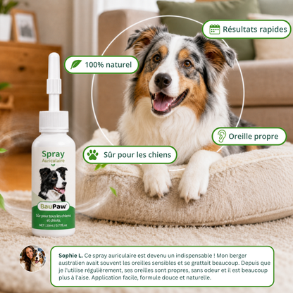 Spray Auriculaire BauPaw™ – Élimine les bactéries responsables du cérumen et des mauvaises odeurs chez le chien