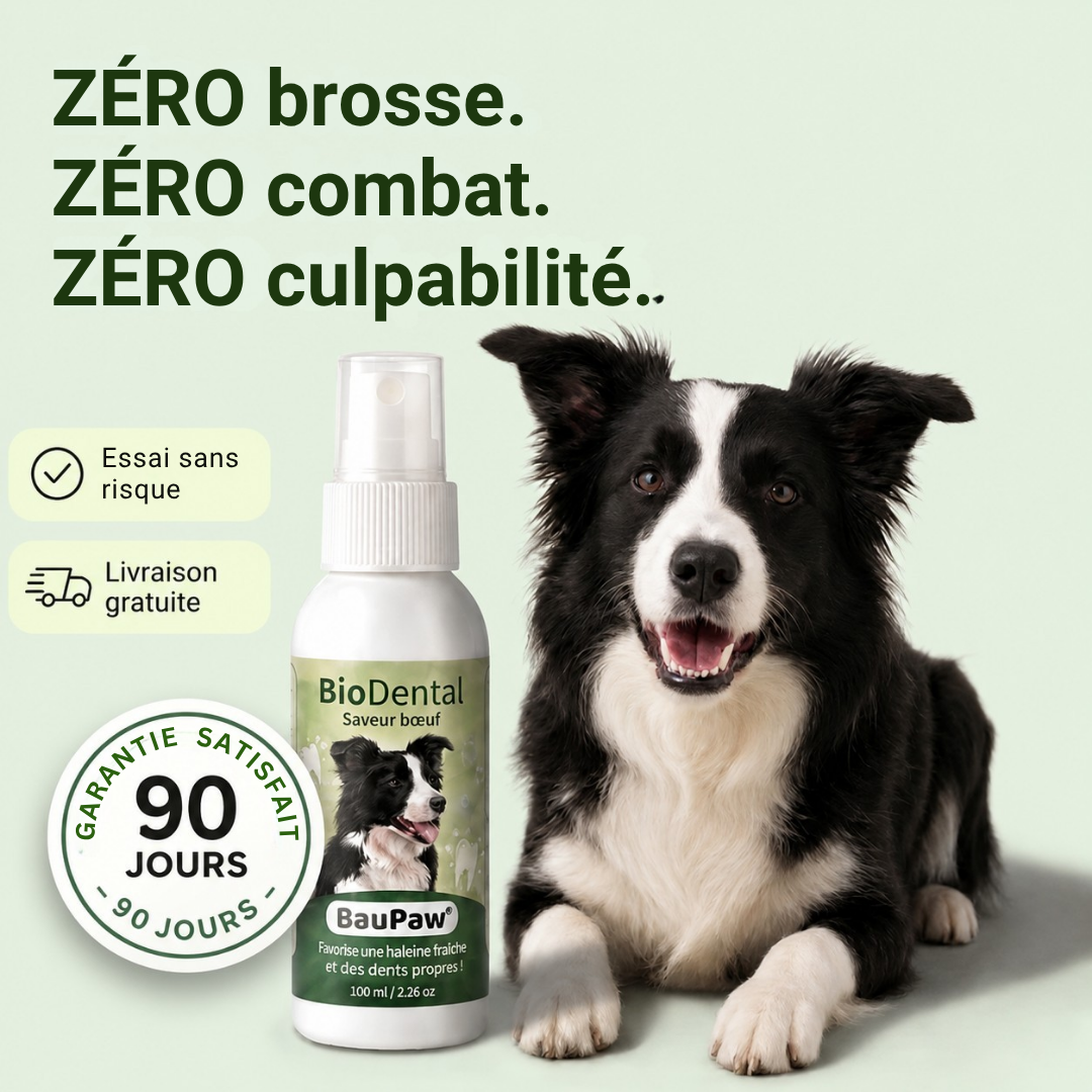 Spray Dentaire BauPaw™ – Élimine les bactéries qui causent tartre et mauvaise haleine chez les chiens