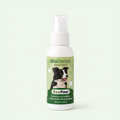 Spray Dentaire BauPaw™ – Élimine les bactéries qui causent tartre et mauvaise haleine chez les chiens